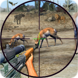 Wild Animal Shooting