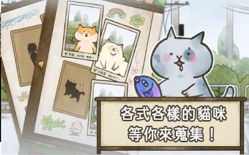猫箱物语2.jpg