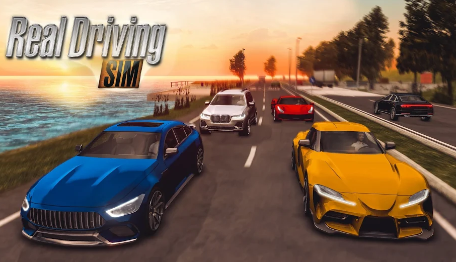 RealDrivingSim1.jpg