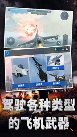 极限飞机驾驶2.jpg