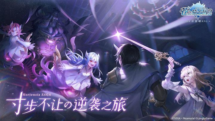 苍之骑士团2b服2.jpg