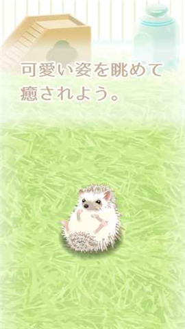 治愈的猬育成游戏1.jpg