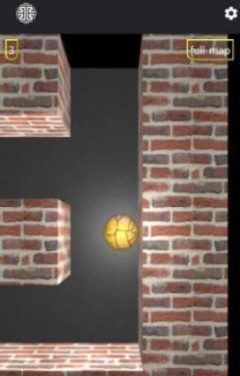 经典脑3D迷宫Brain 3D Maze3.jpg