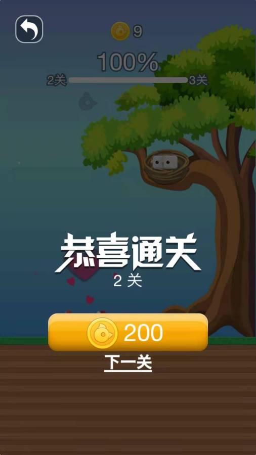 方块鸟5.jpg