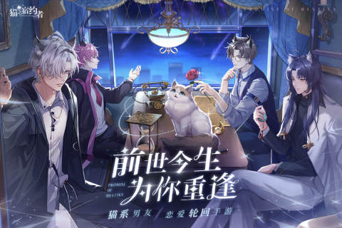 猫之宿约者九游版2.jpg
