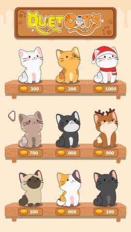 萌猫日记1.jpg