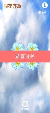 同花齐放2.jpg