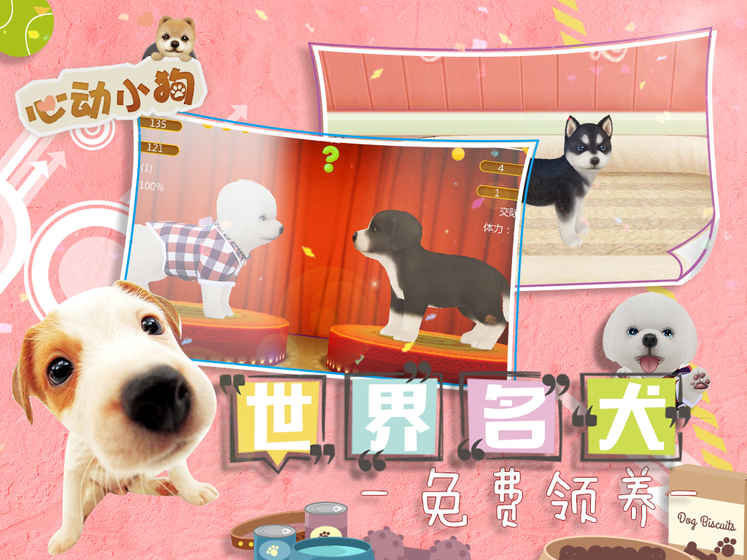 心动小狗3.jpg