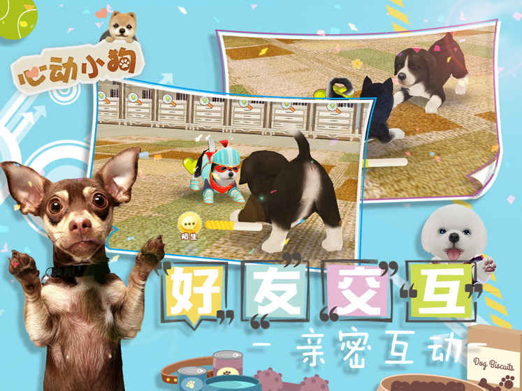 心动小狗2.jpg