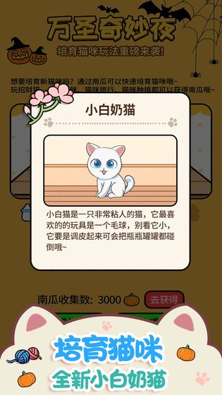 猫咪公寓手机版1.jpg
