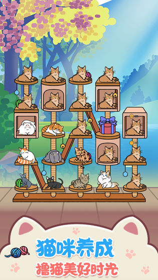 猫咪公寓手机版2.jpg