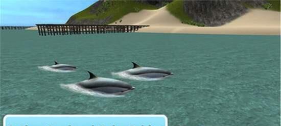 海洋海豚模拟器2.jpg