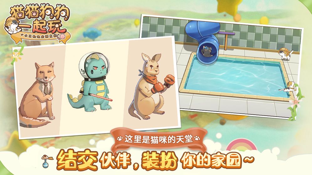猫猫狗狗一起玩4.jpg