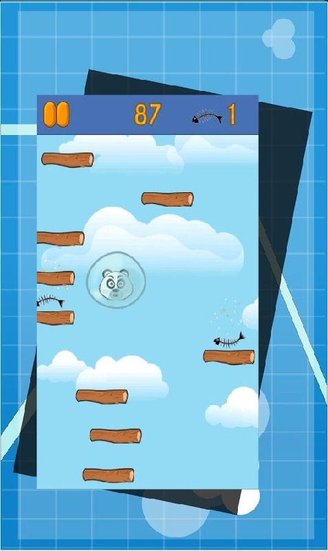 catjump2.jpg