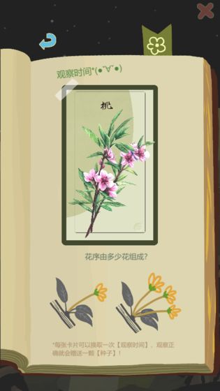 老农种树专注模式的作用及使用技巧详解