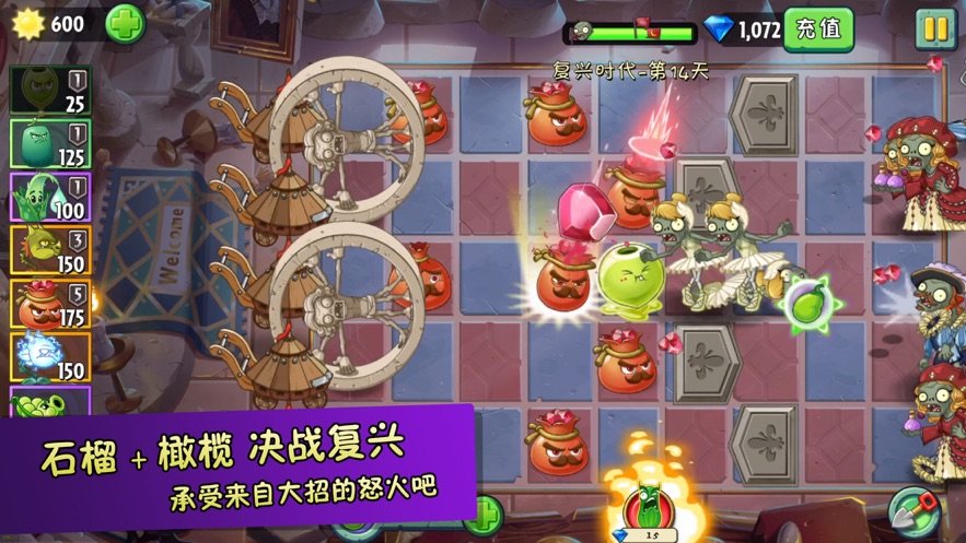 植物超进化1.jpg