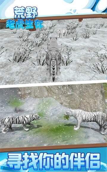 荒野老虎生存2.jpg