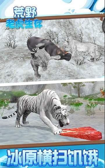 荒野老虎生存4.jpg