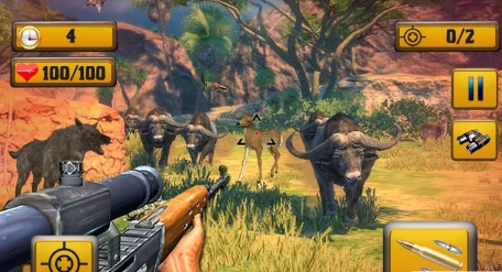 Wild Animal Shooting1.jpg