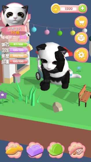 我家喵喵1.jpg