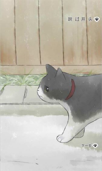 迷途猫1.jpg